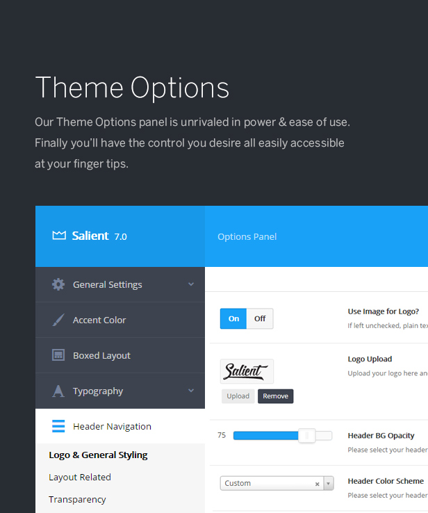 theme options panel