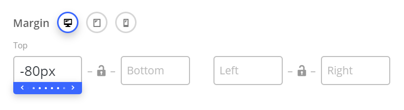 The Salient column Margin fields with device icons, Top set to negative 80px and the other three sides empty