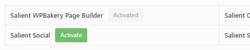 The Required Plugins list in Salient's import modal: clicking the green Activate button beside Salient Social changes it to Activated