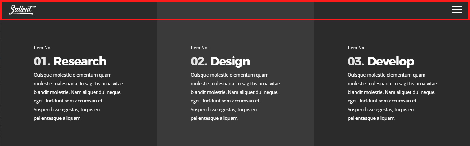The transparent Salient header outlined in red, its logo and menu icon white over a dark three column row
