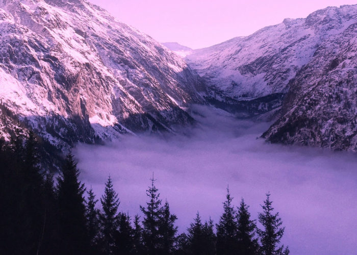 Early Morning Mountain Mist The beauty