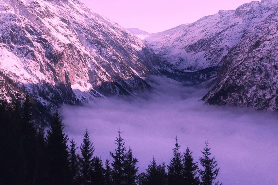 Early Morning Mountain Mist The beauty