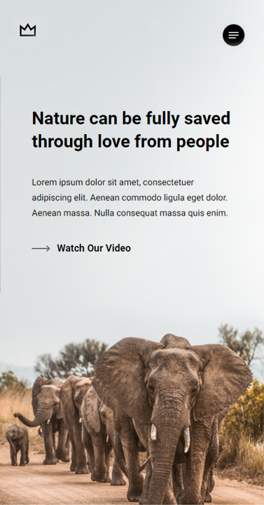 salient wordpress theme nonprofit responsive