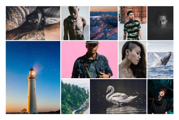 Photography WordPress theme image gallery grid