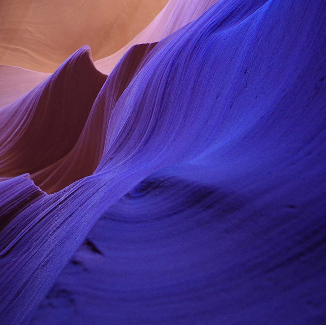 ryan-vitter-DzHihgxNiko-unsplash