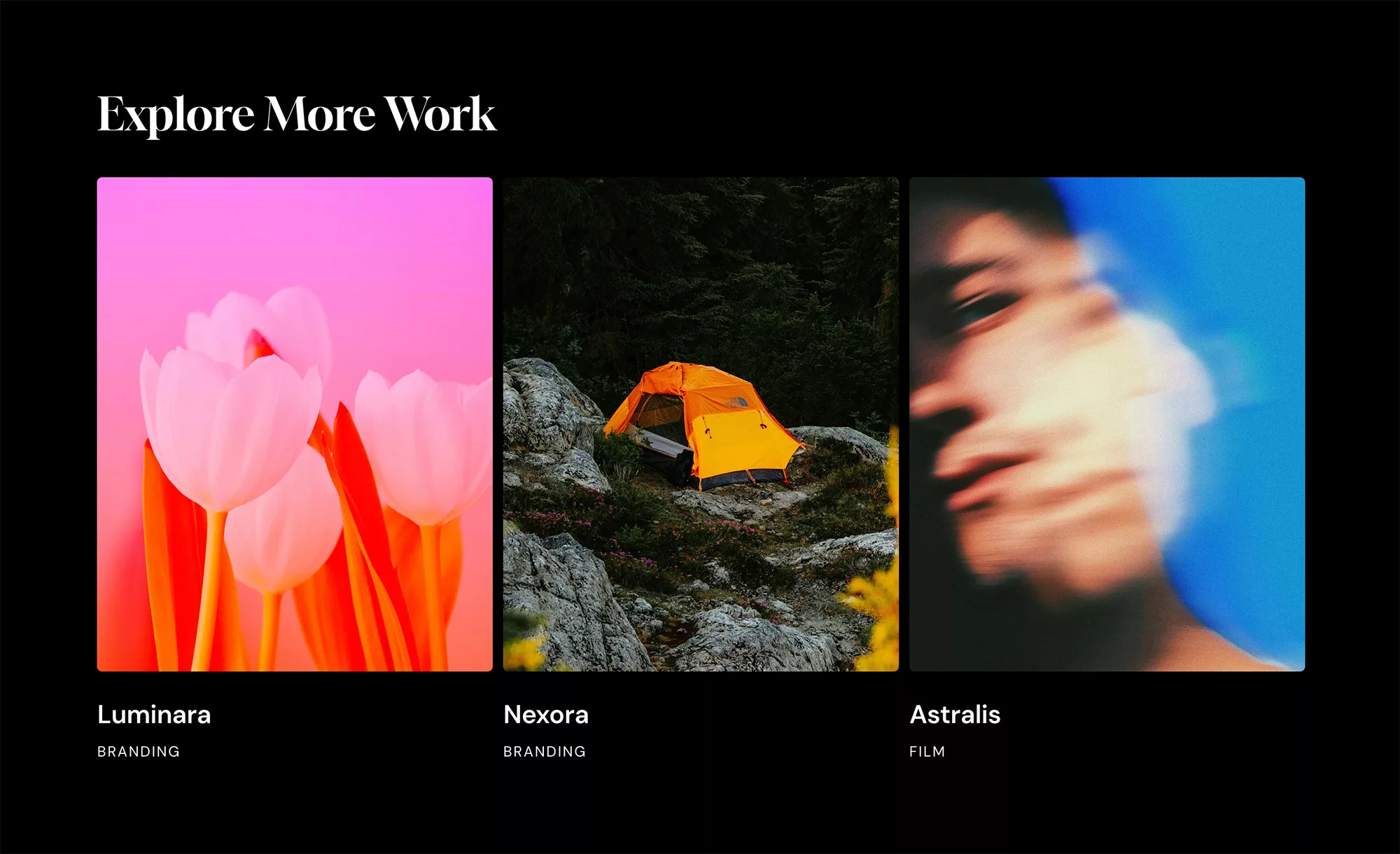 wordpress related projects portfolio theme salient